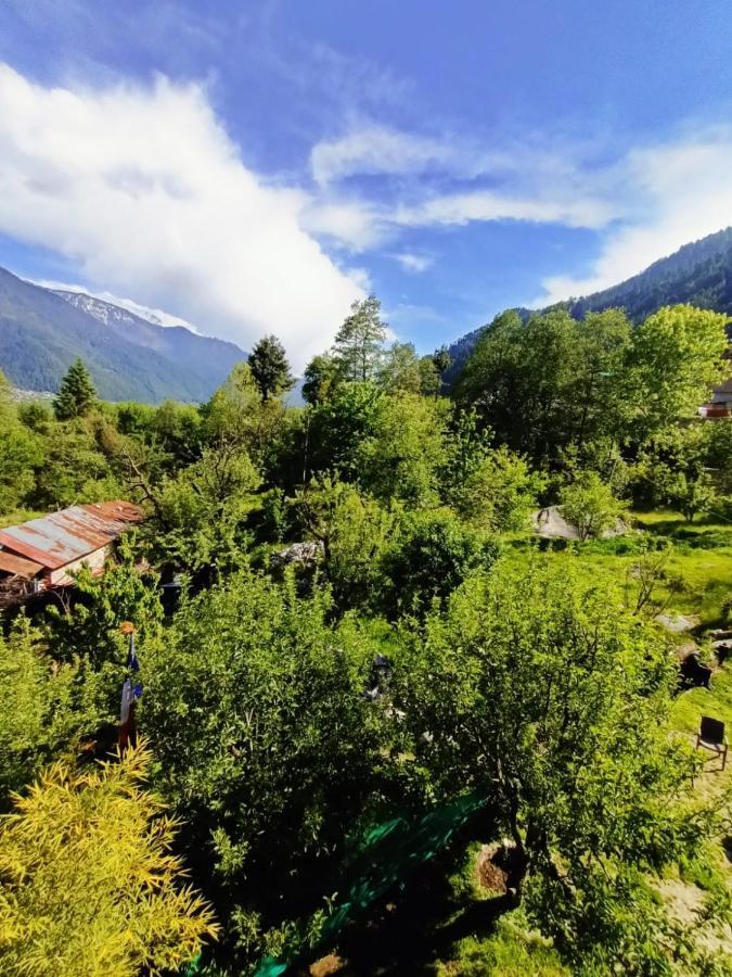 Rashpa Cottage Manali  Ngoại thất bức ảnh